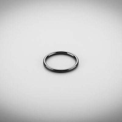 Leichte Pumpen-Silikon-Karbid-Dichtung Ring In Automobile Industry