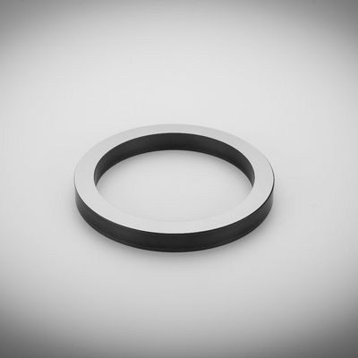 Leichte Pumpen-Silikon-Karbid-Dichtung Ring In Automobile Industry
